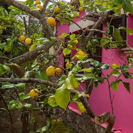 Casa Isabel Y Mateo *